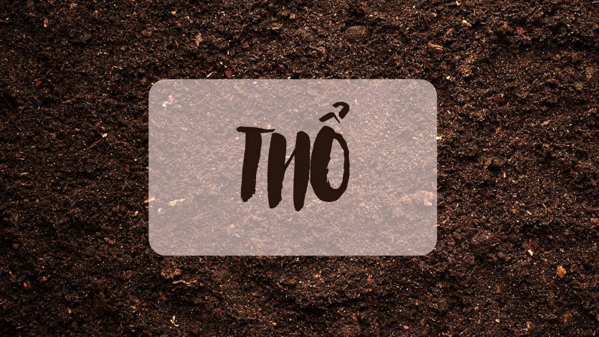 Sơ đồ bát quái thể hiện cung mệnh Chấn của người sinh năm 2006