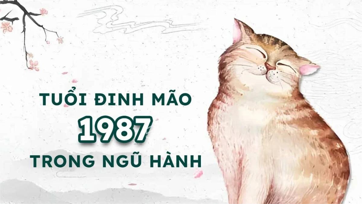 Sơ đồ Bát Quái tượng trưng cho việc xác định cung mệnh của người sinh năm 1987