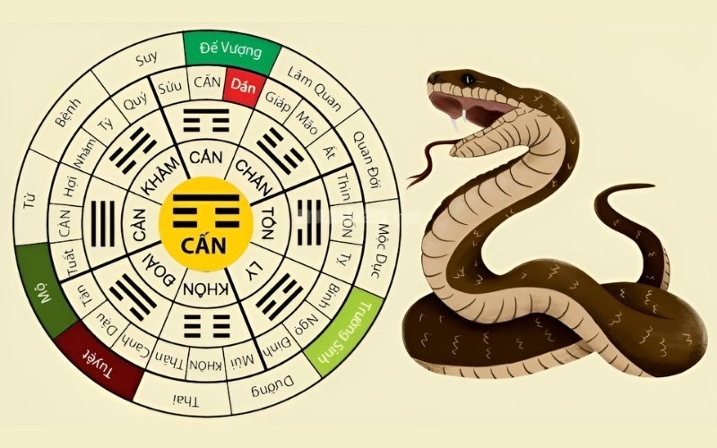 Sơ đồ Bát Trạch minh họa cung Cấn thuộc hành Thổ, yếu tố quan trọng khi xem xét nam tuổi Tân Tỵ 2001 kết hôn với tuổi nào hợp