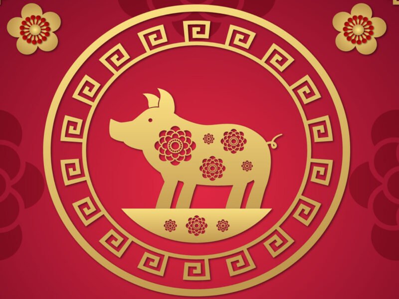 Sơ đồ ngũ hành phong thủy giải thích 1959 là mệnh gì, giúp người sinh năm Kỷ Hợi hiểu rõ bản mệnh Bình Địa Mộc