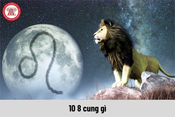 Sự nghiệp lý tưởng cho cung Sư Tử sinh ngày 10/8