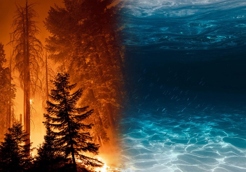 Sự tương khắc giữa mệnh Thủy và Hỏa, yếu tố quan trọng khi xem năm 2035 là năm con gì và mệnh gì