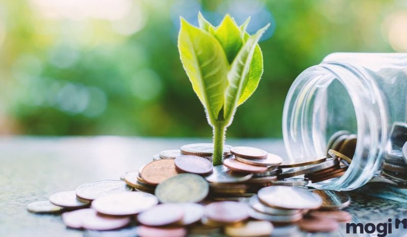 Tác động của tuần triệt trong tử vi đến cung Tài Bạch