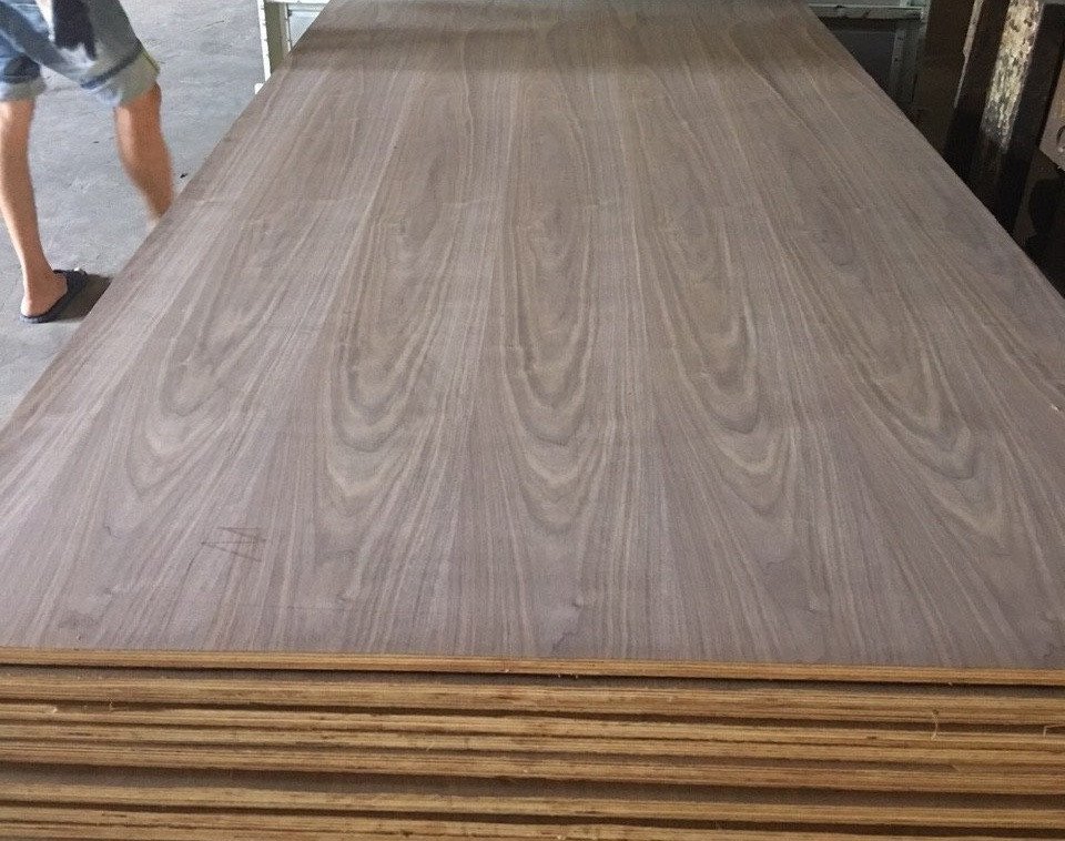 Tấm Plywood với bề mặt là ván gỗ Óc Chó (Walnut) có màu sắc và vân gỗ đẹp