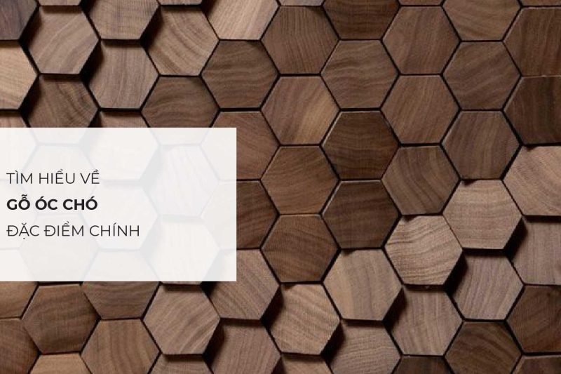 Thân gỗ chuồn với những đường vân gỗ đẹp độc đáo tự nhiên và màu sắc đặc trưng của loại gỗ này