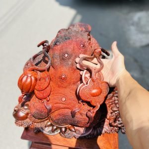 Tượng Cóc Ngậm Tiền (Thiềm Thừ Phong Thủy) Gỗ Trắc Hộp Ngang 50cm Thiem thu phong thuy go trac viet ngang 50cm - 9