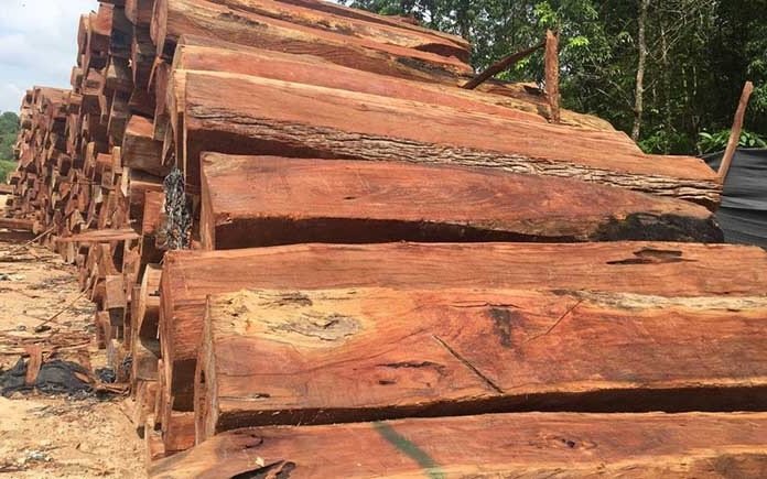 Thớ gỗ căm xe tự nhiên với màu vàng đỏ đặc trưng