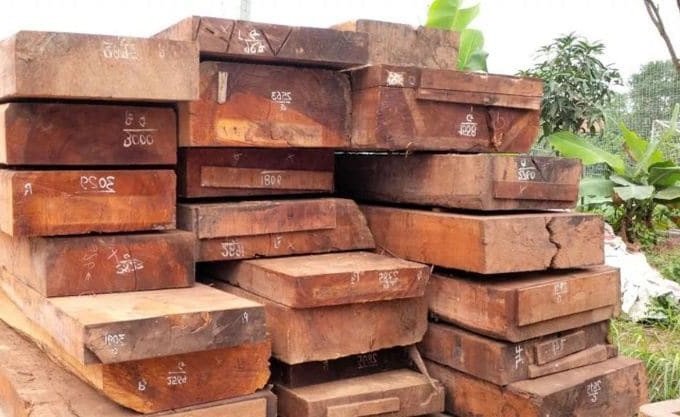 Thớ gỗ gụ tự nhiên với màu sắc đặc trưng