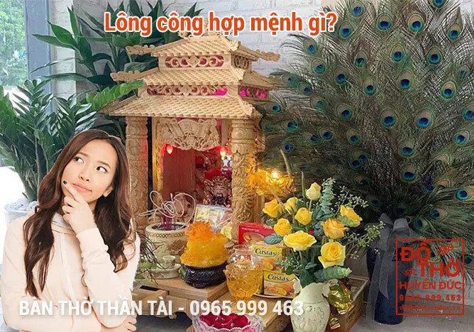 Tìm hiểu lông công hợp với tuổi nào và mệnh nào để phát huy hiệu quả phong thủy