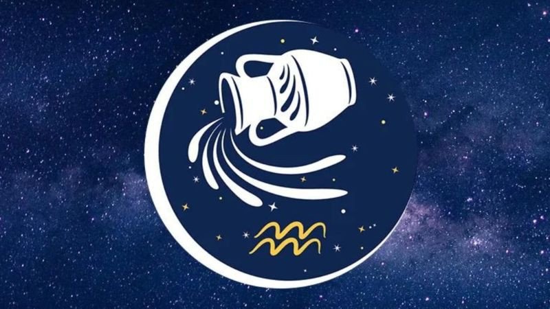 Tính cách độc đáo của cung Bảo Bình trong công việc