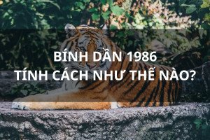 Tính cách nam Bính Dần 1986