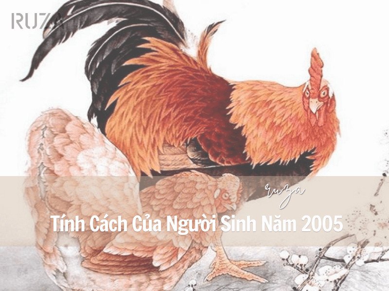 Tính cách người sinh năm 2005 tuổi Ất Dậu, ảnh hưởng bởi mệnh Tuyền Trung Thủy.