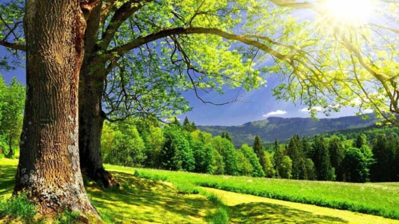 Tóm tắt năm sinh 2010