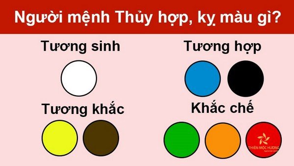 Tổng hợp các màu sắc phong thủy mang lại may mắn cho tuổi Nhâm Thìn 1952