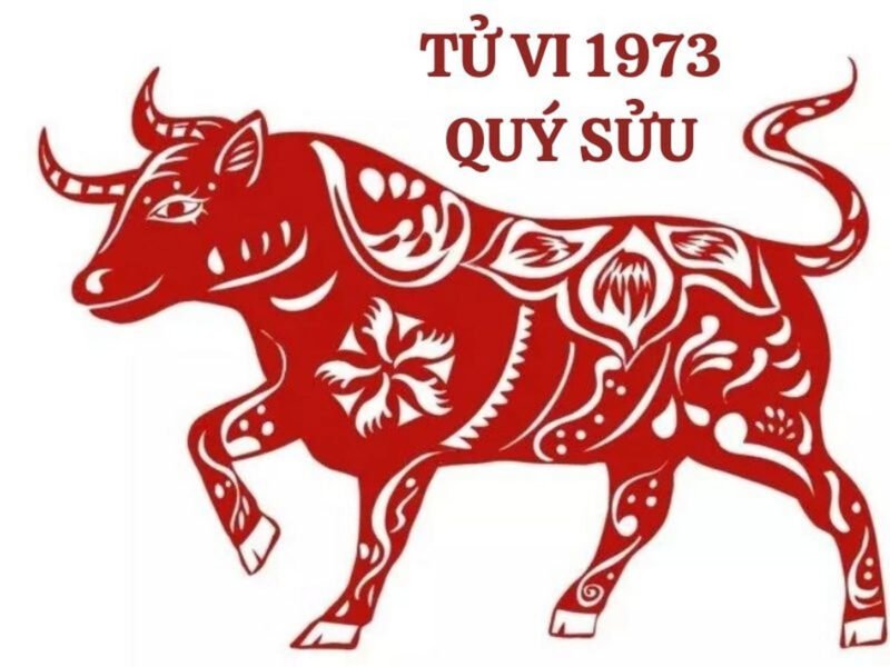 Tổng quan tử vi tuổi Quý Sửu 1973 trong phong thủy gia đình