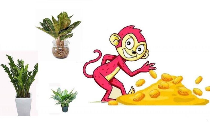 Tổng quan về tử vi người tuổi Canh Thân 1980