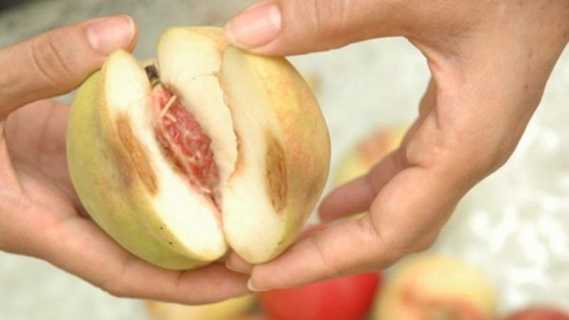 Trái cây hỏng, dập nát tuyệt đối không được dùng cúng rằm tháng 7