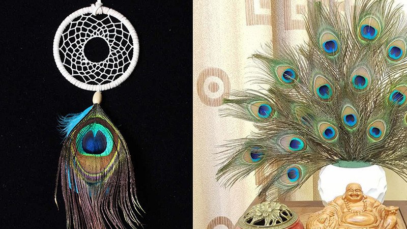 Trang trí nhà cửa bằng lông công phong thủy giúp tăng thêm vẻ đẹp và khí vượng