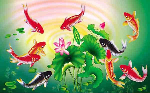 tranh cá chép treo phòng khách