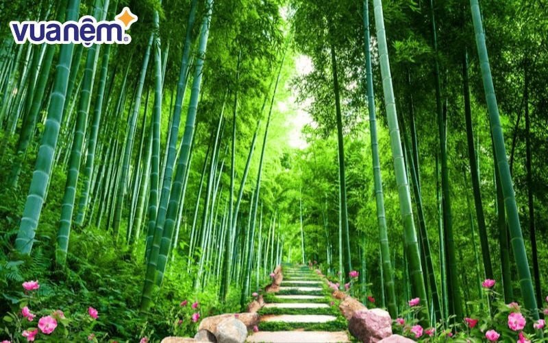 Trúc mảnh mai nhưng rất dẻo dai và mạnh mẽ