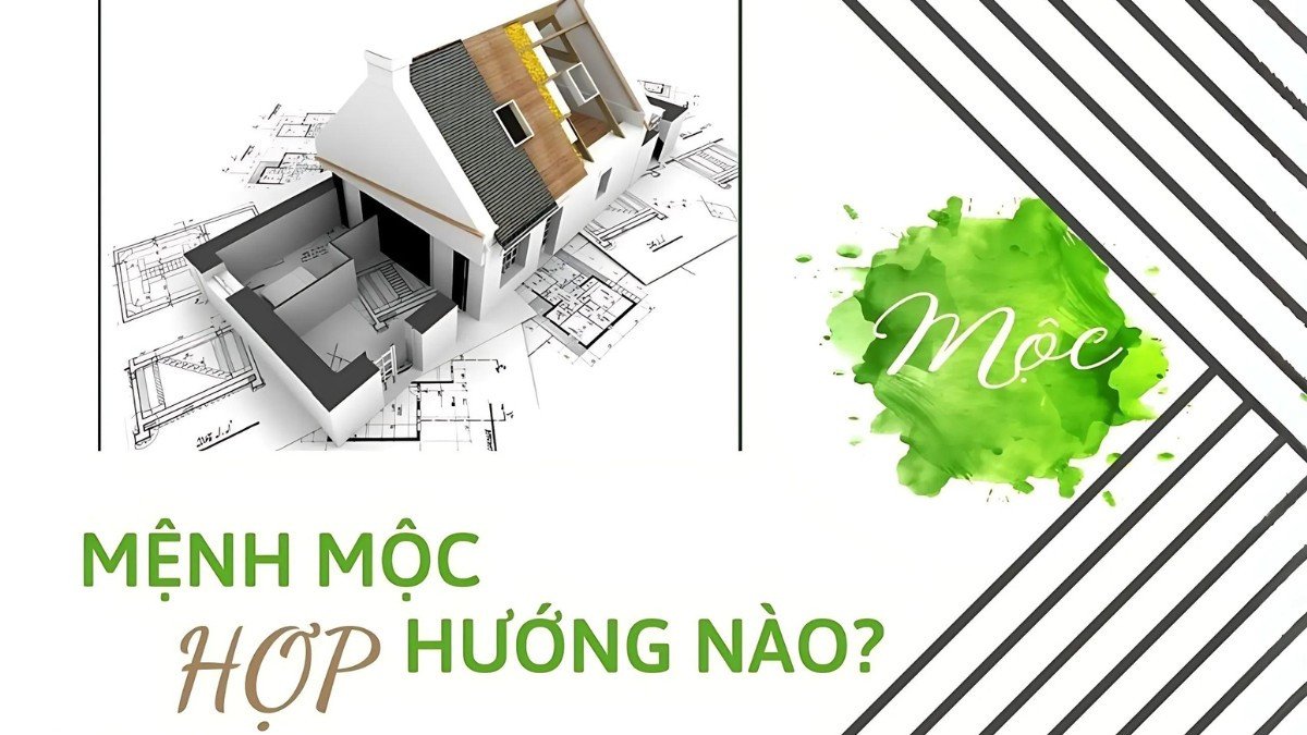 Tư vấn hướng nhà tốt nhất cho gia chủ mệnh Mộc để đón tài lộc