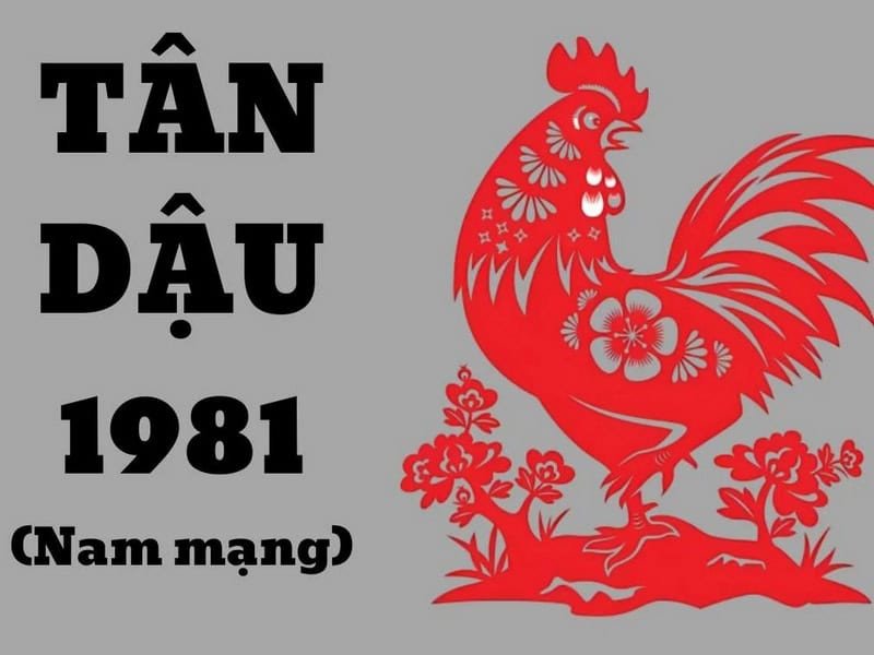 Tử vi 2025 của Tân Dậu có nhiều chuyển biến so với năm trước