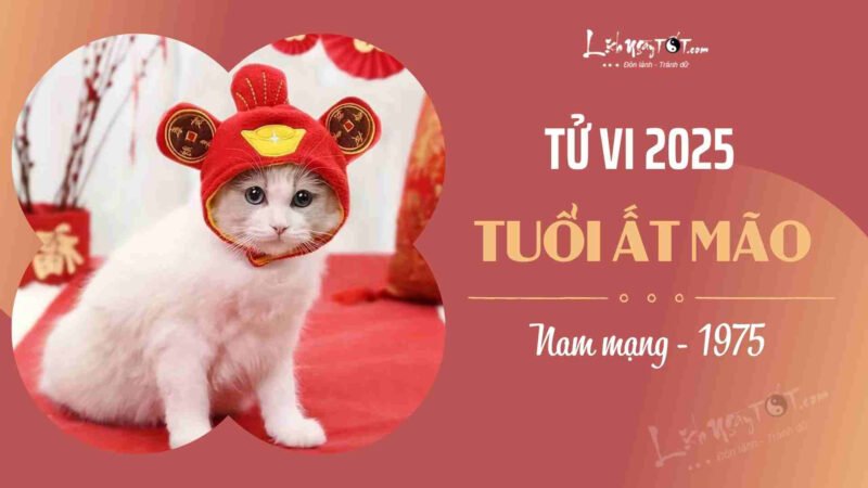 Tử vi tuổi Mão 1975 nam mạng năm 2025 và những lời khuyên hữu ích