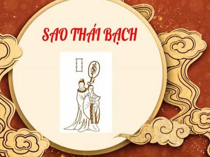 Luận giải tử vi tuổi Nhâm Thân năm 2026 nữ mạng chi tiết nhất - Homepage featured post