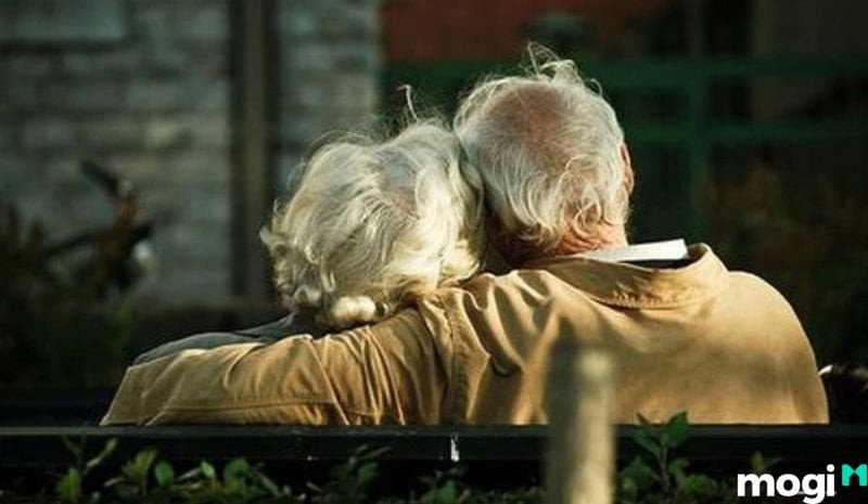 Tuần triệt trong tử vi tại cung Phụ Mẫu và mối quan hệ gia đình