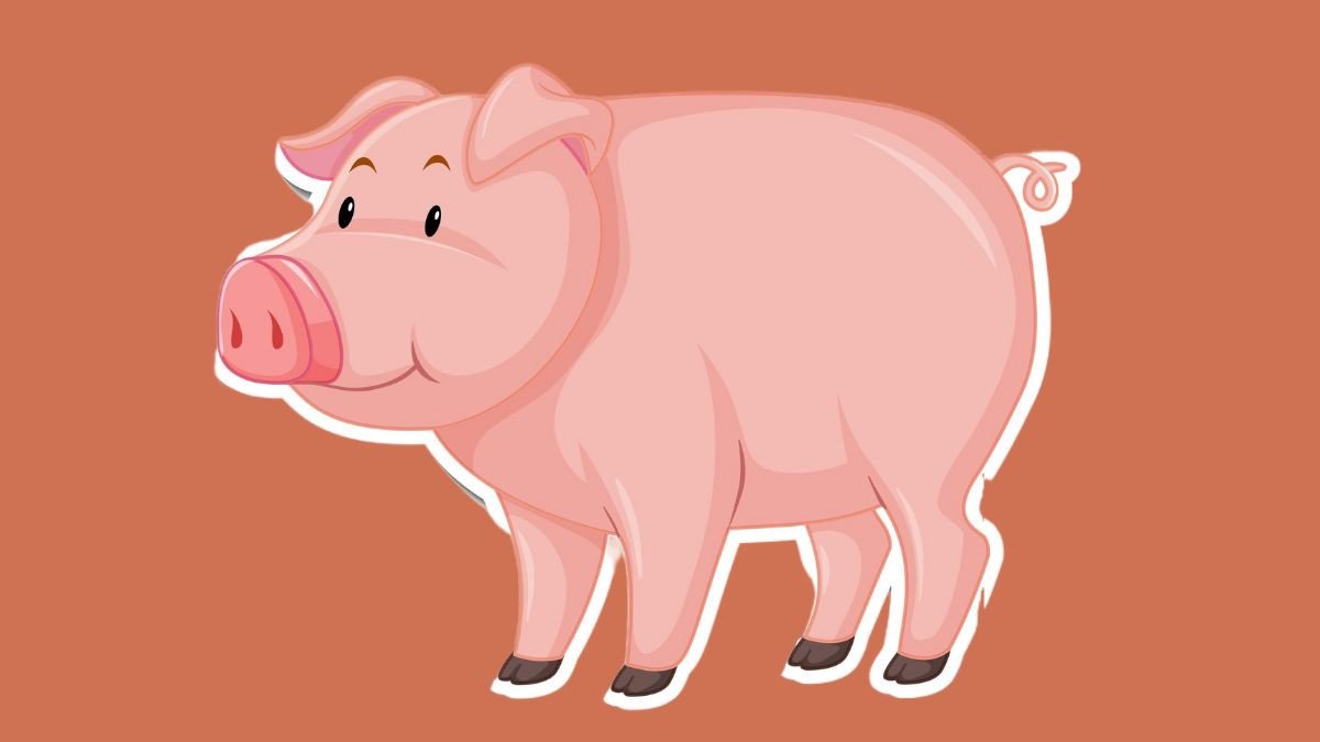 Tuổi Đinh Hợi 2007 con vật may mắn