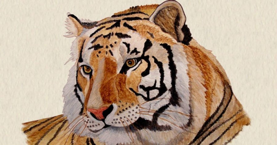 Tuổi hợp để cưới hỏi và kinh doanh cho tuổi Nhâm Dần mệnh gì