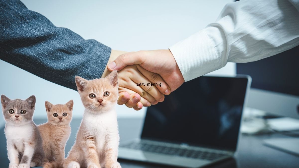 Tuổi hợp để làm ăn và kết hôn của Ất Mão 1975
