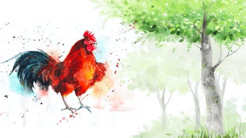 Tuổi hợp và kỵ trong sự nghiệp, tình duyên của nam 1993