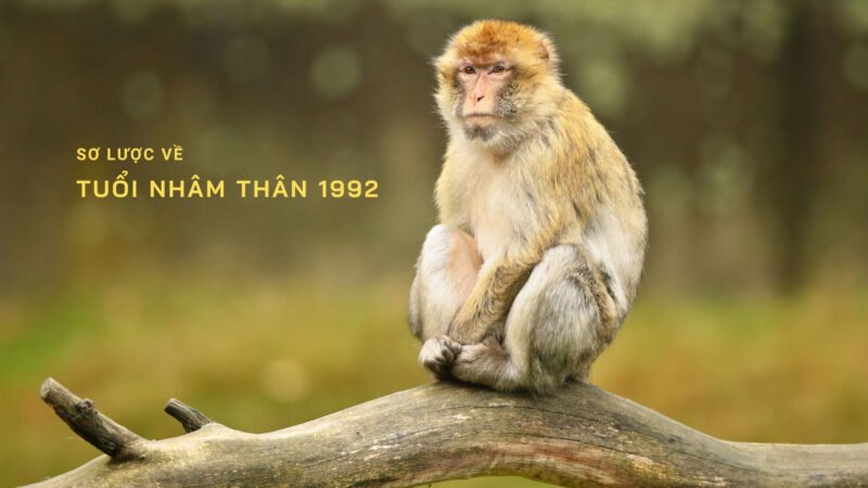 Tuổi Nhâm Thân 1992 hợp hướng nào để xây nhà thu hút tài lộc