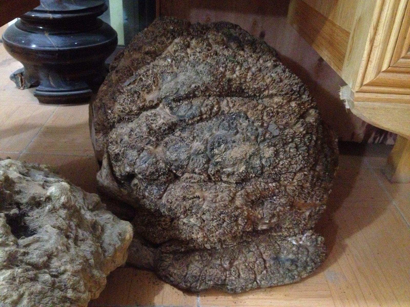 Tượng Phật Di Lặc được chế tác từ gỗ nu hương với các chi tiết vân gỗ tự nhiên tuyệt đẹp