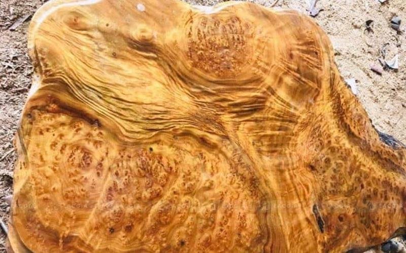 Tượng Phật Di Lặc chế tác tinh xảo từ gỗ xá xị nguyên khối tỏa hương thơm tự nhiên