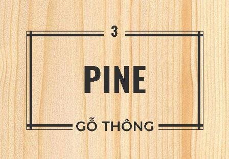 Các ứng dụng đa dạng và phổ biến của gỗ sồi trong thiết kế nội thất hiện đại