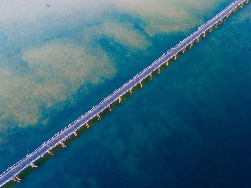 Hàng rào làm từ thân cây dương (phi lao) chắc chắn và mộc mạc