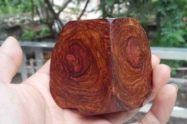 Gỗ huê có tác dụng gì qua vân gỗ tự nhiên độc đáo và quý hiếm của nó