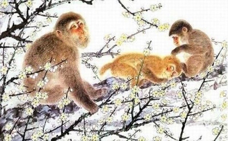 Vận mệnh tuổi Nhâm Thân 1992 và màu sắc may mắn