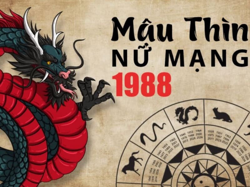 vận trình tuổi mậu thìn 2026 nữ mạng phát triển tích cực