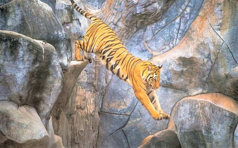 Vật phẩm phong thủy chiêu tài lộc, bình an cho người Mậu Dần 1998 mệnh Thổ