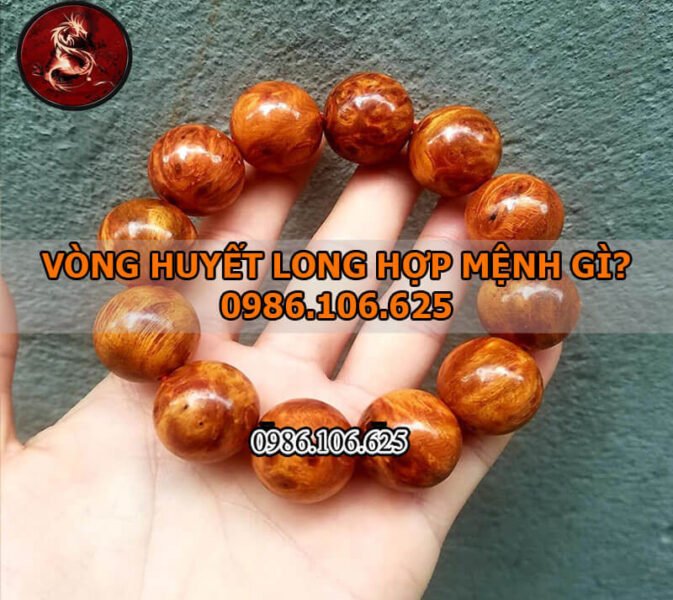 Vòng tay gỗ huyết long tỏa sáng, biểu tượng hợp mệnh phong thủy.