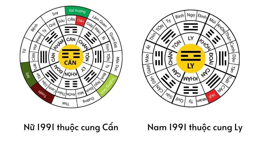 Xác định cung mệnh nam nữ 1991 để tìm hướng phát triển phù hợp
