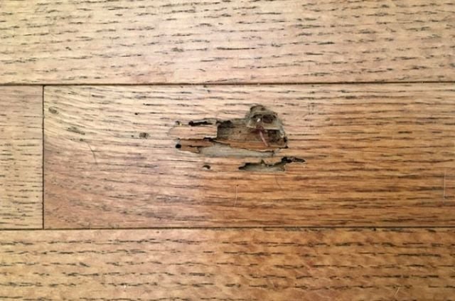 Xử lý bề mặt gỗ thông để chống mối mọt