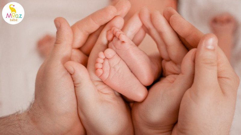 Ý nghĩa của các tháng sinh tốt, giúp bố mẹ tuổi Hợi đẻ con tuổi gì hợp để bé có vận mệnh phú quý.