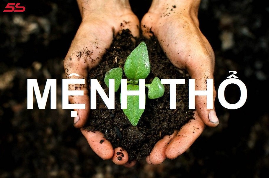 Ý nghĩa của mệnh Thổ trong Ngũ hành và sự sống tự nhiên