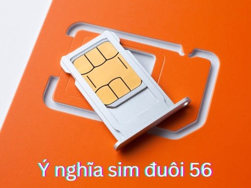 Ý nghĩa của số 56 trong sim điện thoại là may mắn về tài lộc, sự nghiệp, sinh lộc phát triển bền vững