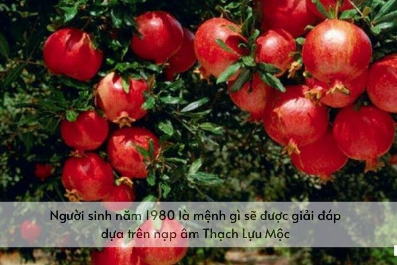 Ý nghĩa nạp âm Thạch Lựu Mộc cho nữ mạng sinh năm 1980